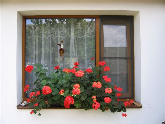 Troubelice 2006 005.jpg